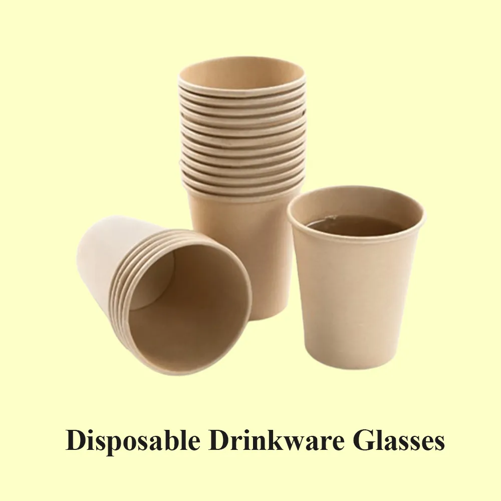 Disposable Drinkware Glasses