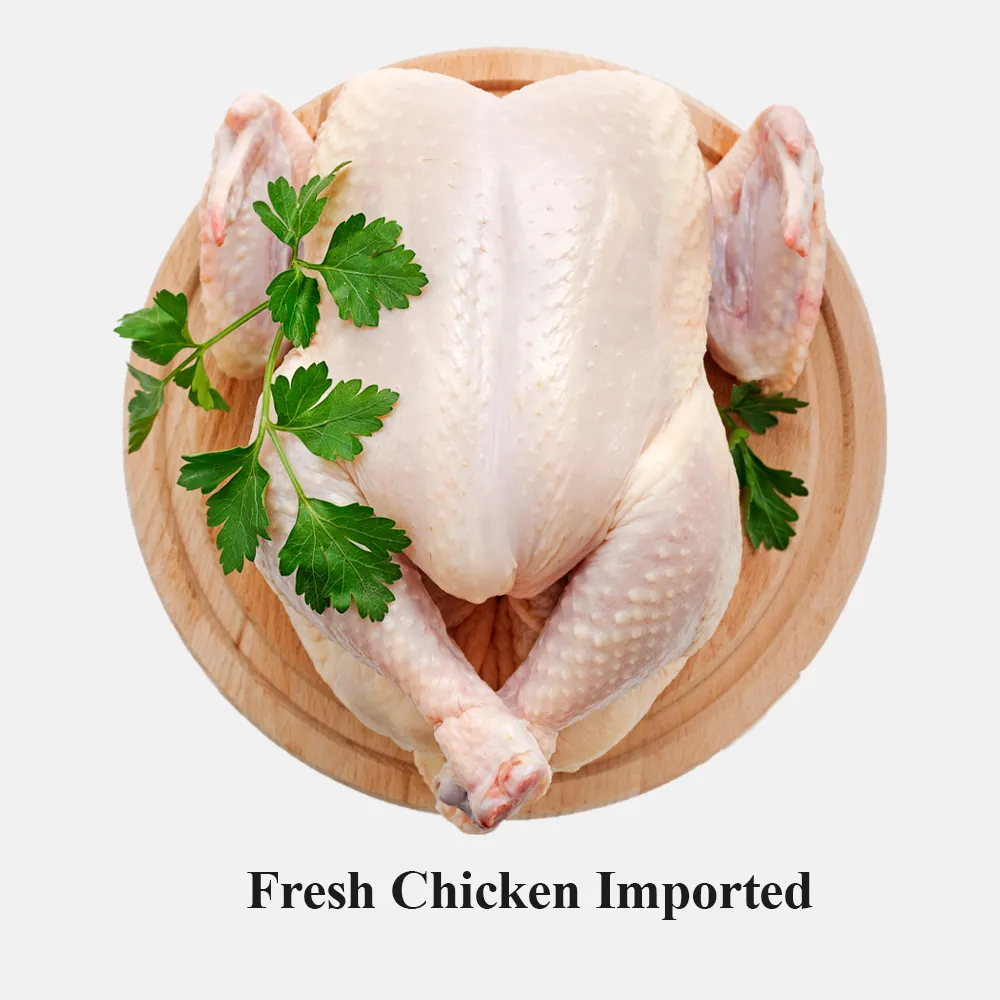 Fresh Chicken Imported