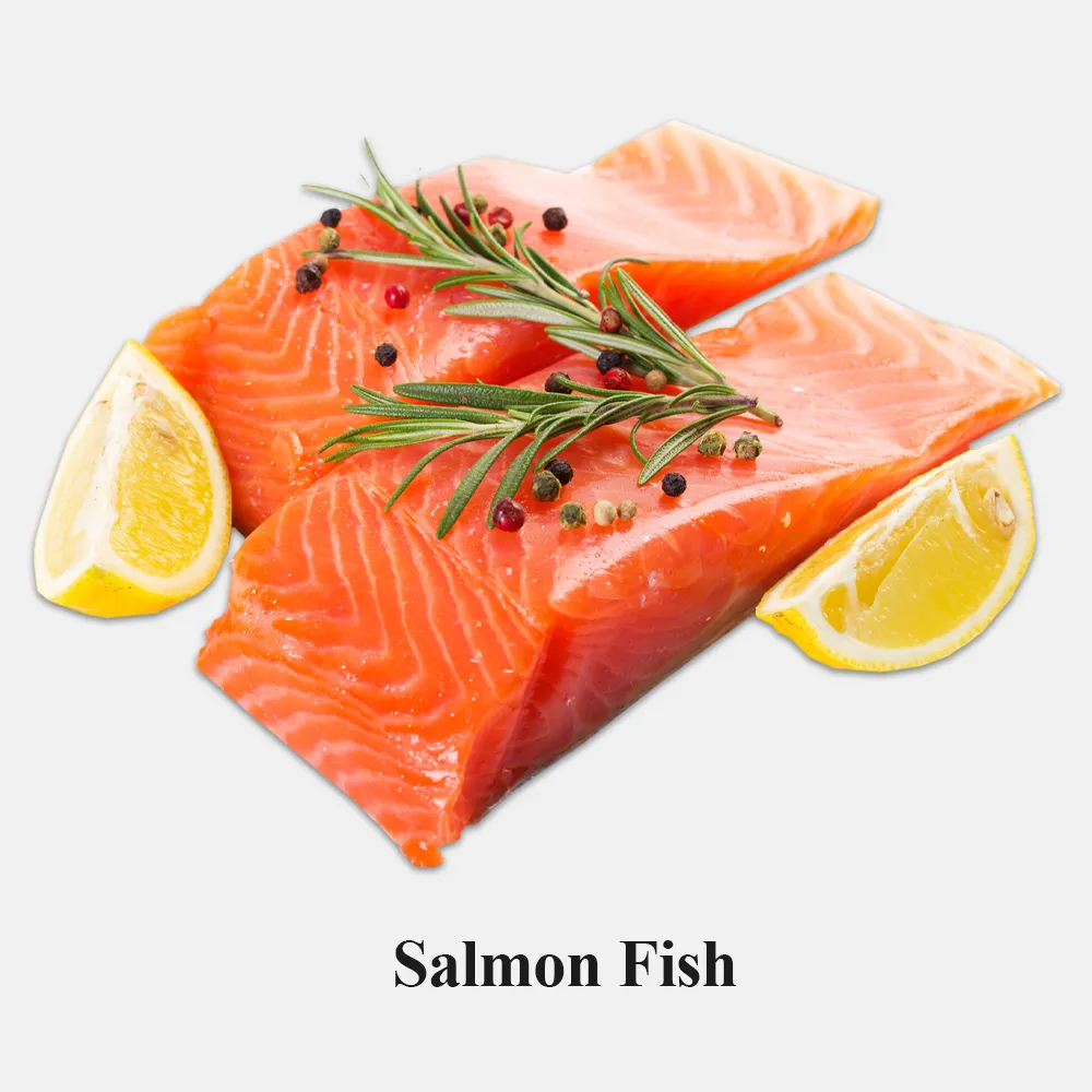 Salmon Fish