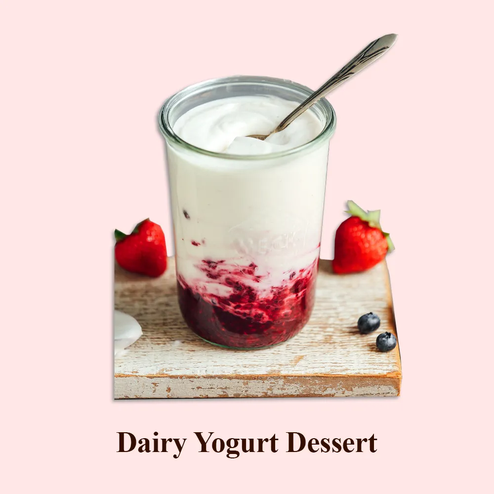 Dairy Yogurt Dessert